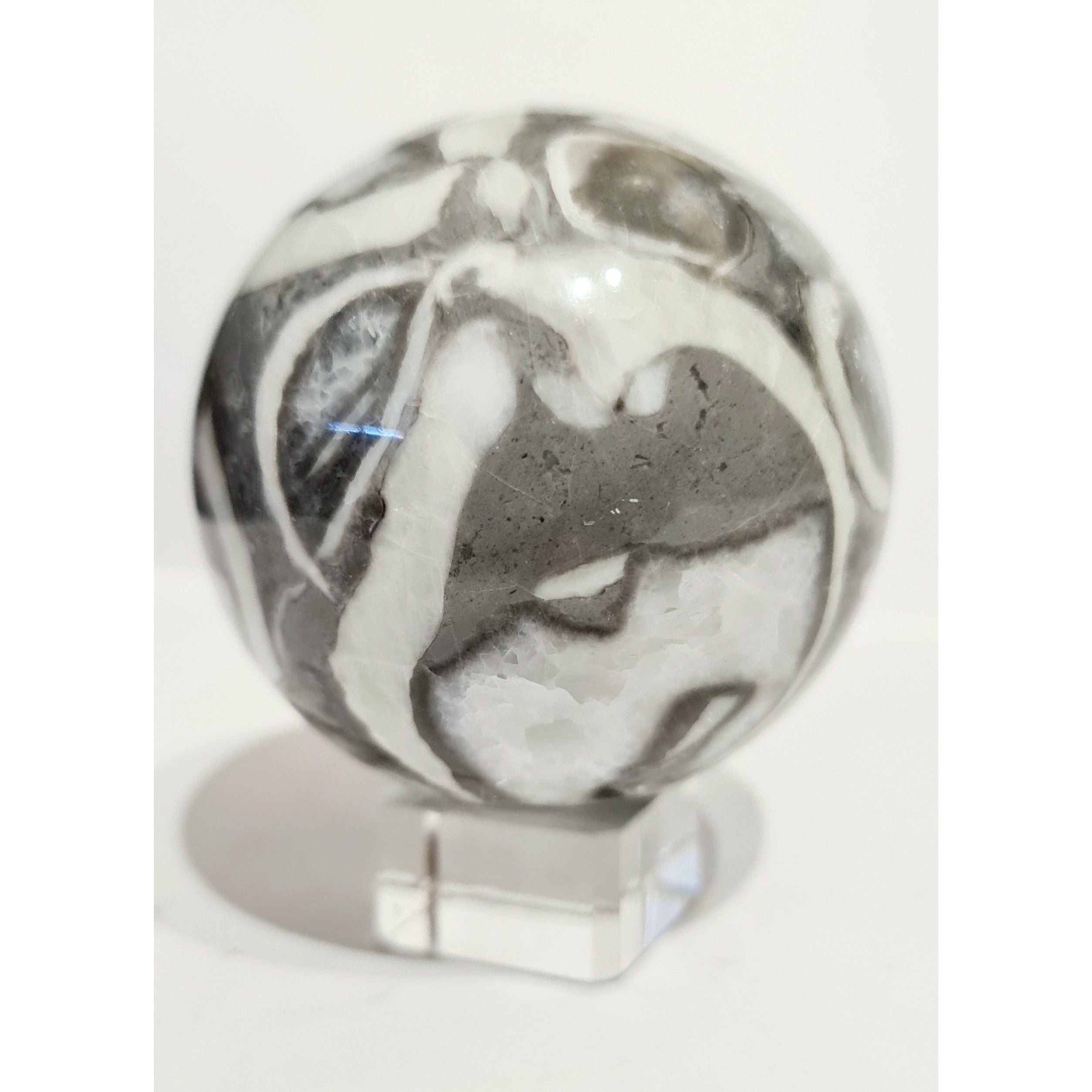 SHELL JASPER SPHERE