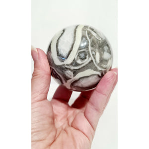SHELL JASPER SPHERE