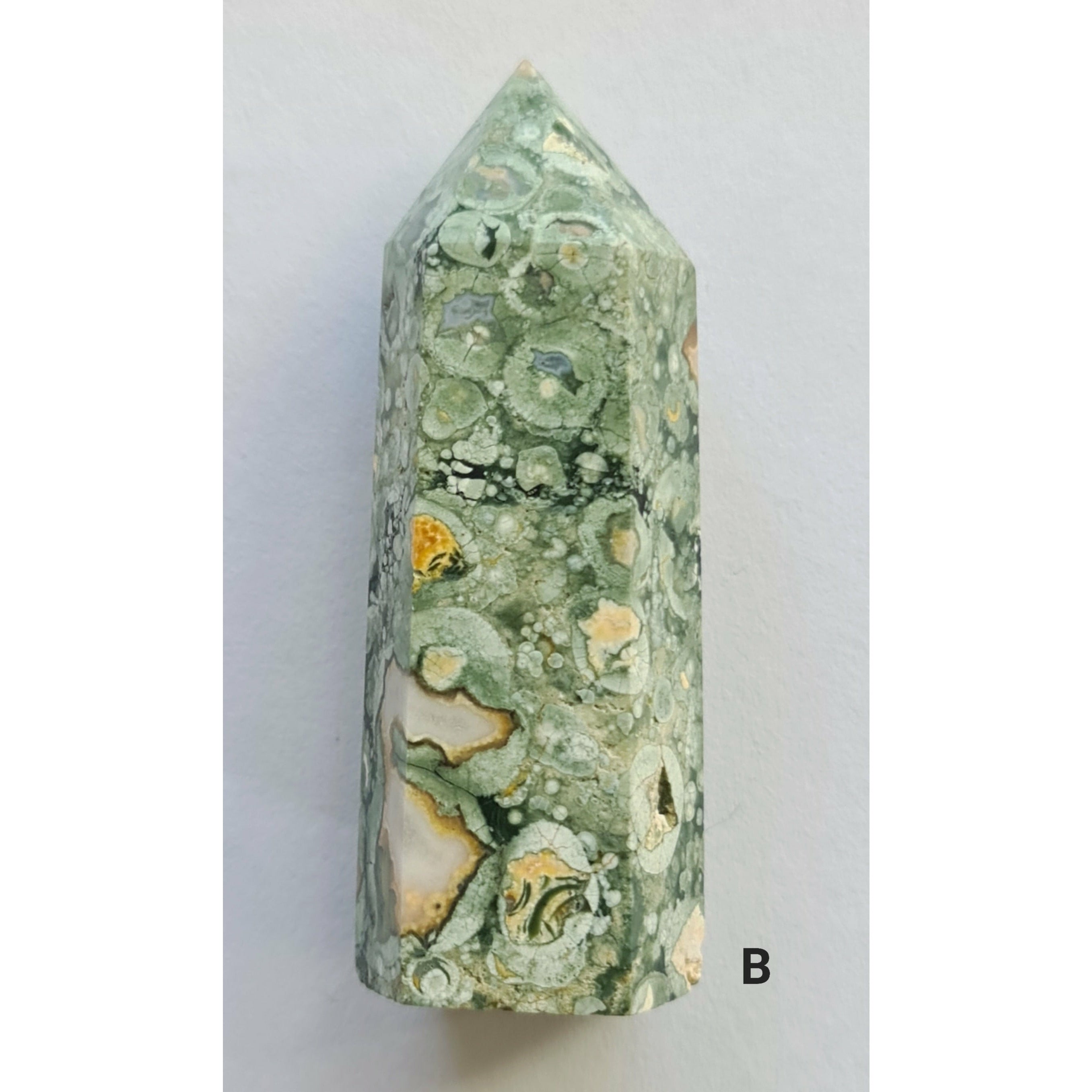 RAINFOREST JASPER