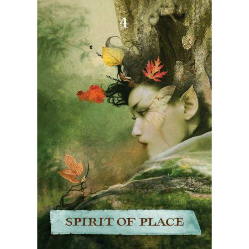 THE ENCHANTED MAP ORACLE CARDS