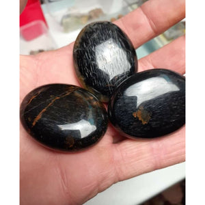 BLUE TIGER EYE PALM